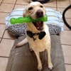 Doug B.